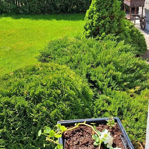 To The East Konukevi Viimsi