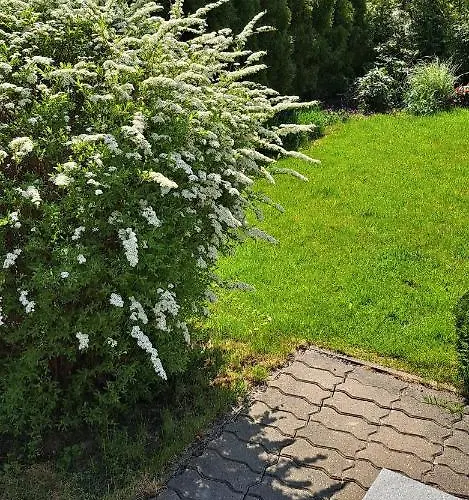 To The East Konukevi Viimsi